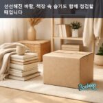 선선해진 바람, 책장 속 습기도 함께 점검할 때입니다